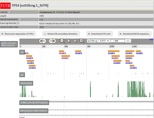 Figure 6: UTR exploration interface in AURA. The figure shows the genome browser-like interface which the user can take advantage of to explore all data concerning an UTR at once