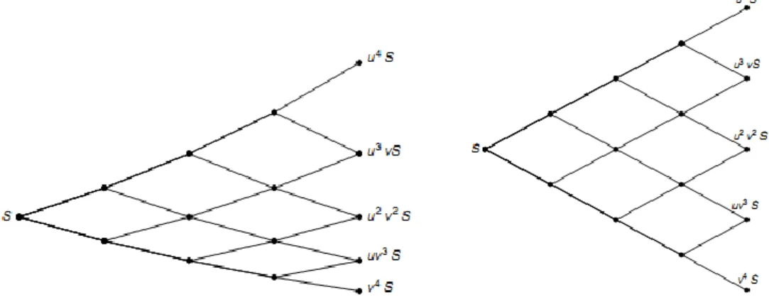Figure 2.1.1. Graphical representation of binomial tree 