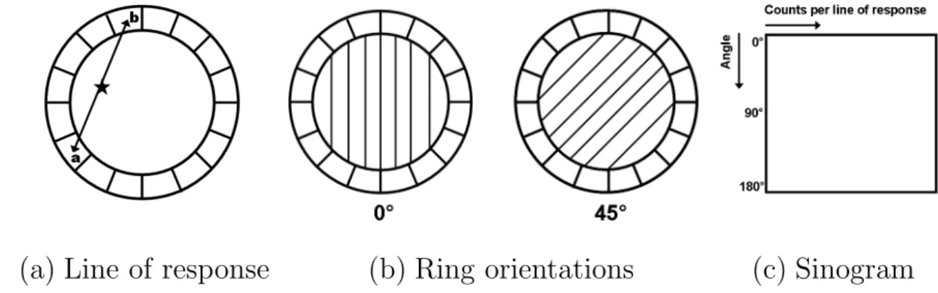 Figure 1.5: Stages of PET image acquisition, showing (a) an annihilation event and the cor- cor-responding line of response, (b) the grouping of parallel lines of response to form projections, and (c) the construction of a sinogram.