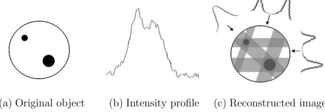 Figure 1.6: Image reconstruction by simple back projection, showing (a) a slice through an object, (b) the intensity profile extracted from a single projection, and (c) the image obtained following reconstruction.