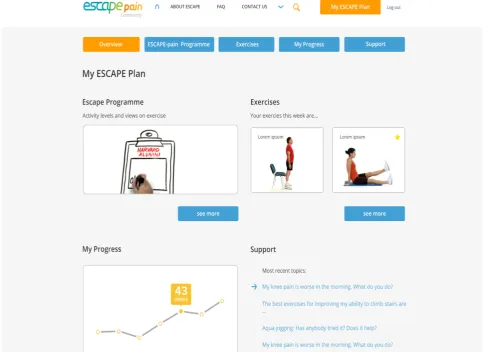 Figure 1. A screenshot of the internal pages of the prototype ESCAPE-pain website.