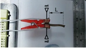Figure 10: Experimental set-up for IPMC actuation.