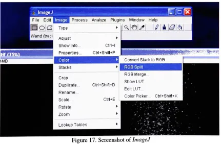 Figure 17. Screenshot ofImageJ