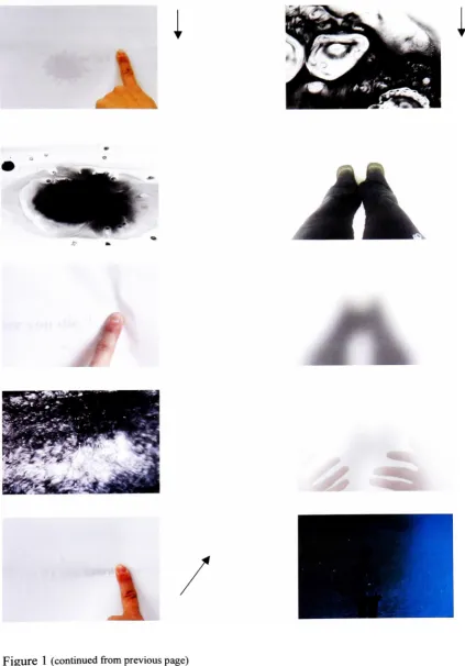 Figure 1 (continued from previous page)Video Work