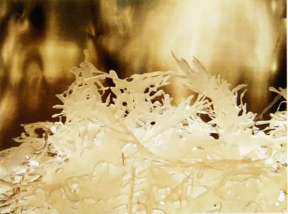 Figure 3-2Installation 2 (detail)