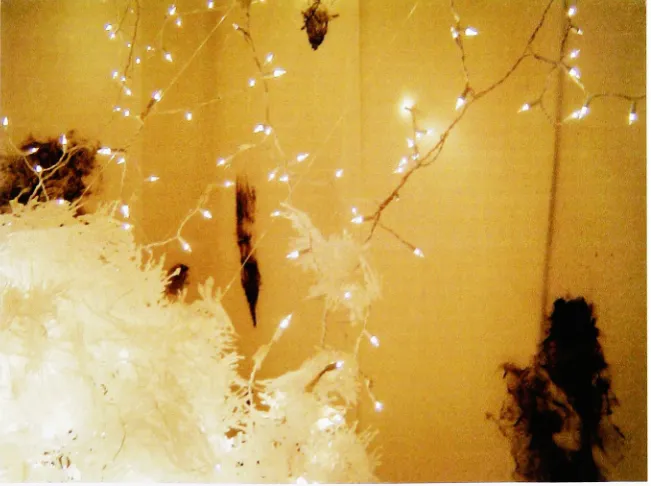 Figure 3-3Installation 2 (detail)