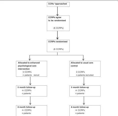 Fig. 2 Consolidated Standards of Reporting Trials (CONSORT) diagram. CONSORT diagram (with cluster extension) for the CADENCE pilotrandomised controlled trial (RCT)
