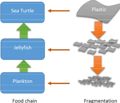 Figure 1. Effect of plastic decomposition and fragmentation on the food chain  
