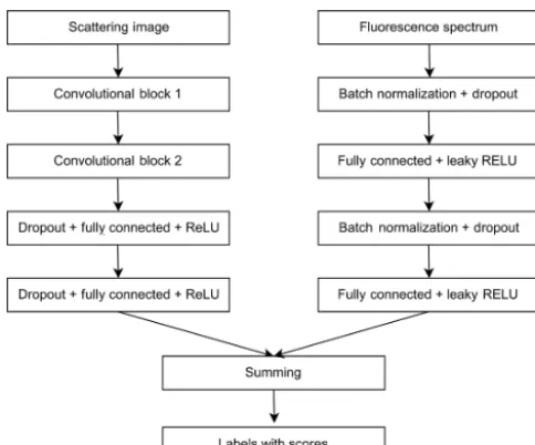 Figure 4. Neural network used for classiﬁcation at Payerne.