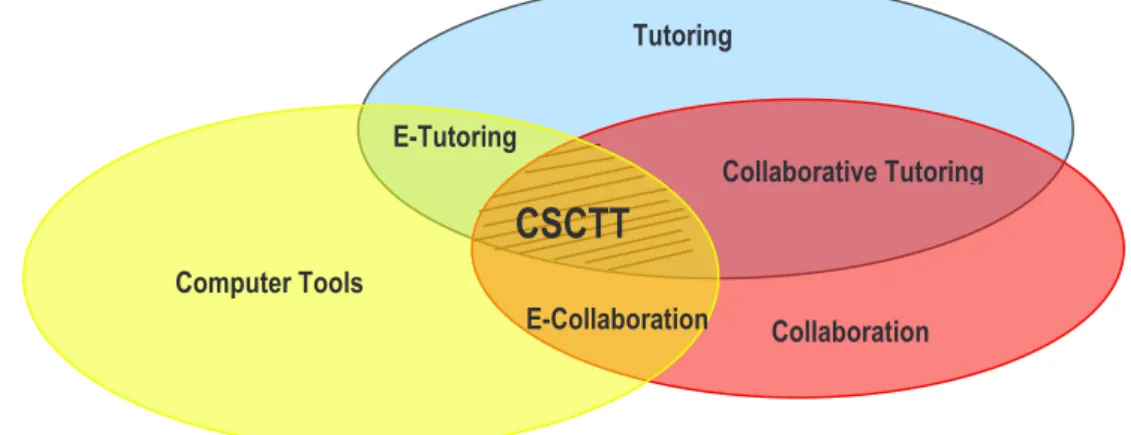 Figure 1. Description of CSCTT domain. 
