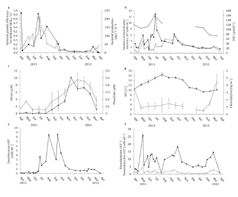 Figure 2.   