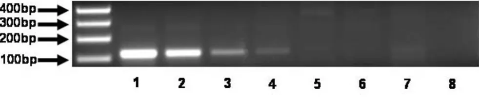 Figure 3Detection of point mutation Asp 816 to Val in blood or FFPE samplesDetection of point mutation Asp 816 to Val in blood or FFPE samples