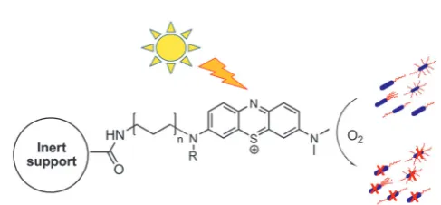 Fig. 1Schematic drawing of the photodynamic inactivation of microorganismsby singlet oxygen generated by the photosensitiser immobilized on aninert support.