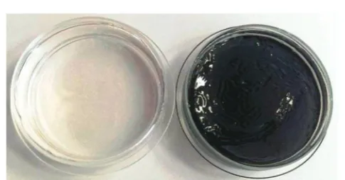 Fig. 3Photograph of the control hydrogel 8 (left) and of the photoanti-microbial hydrogel 7 (right) with 11 mg of 6 (10.30 � 10�3 M stock solutionin H2O) immobilized in it.