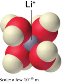 Figure 2. In aqueous solution, Li+ forms the tetrahedral Li+(H2O)4 complex. Structure of Li+(H2O)4: Lithium+ (purple) in centre surrounded by a tetrahedral cage of four water molecules