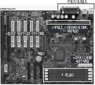 Figure 1-6    A Pentium II based motherboard. [Source: TYAN Computer, http://www.tyan.com.]