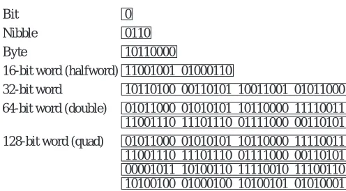 Figure 4-2    Common sizes for data types.
