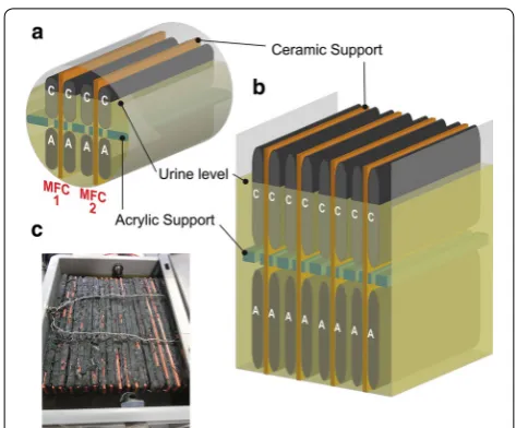 Fig. 1 Illustration of the self-stratifying column membraneless microbial fuel cells (SSC-MFC)