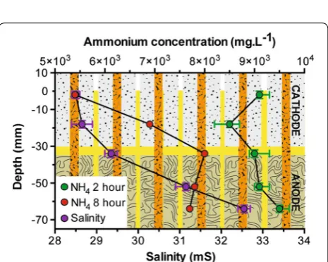 Fig. 6 Power produced by the SSC-MFC stack of 20 MFCs connected in parallel (M5–11). Data illustrate the stability of the stack behaviour over the 80 days of the experiment