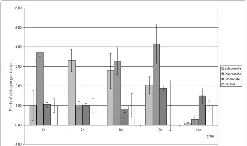 Figure 2 Quantitative RT-PCR-results of type I collagen gene expression as fold of unstimulated control gene expression (means +/- SD), that was set at 1 (100%).