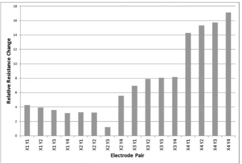 Figure 3. An example of high amplitude high frequency voltage stimulation after 12 hours