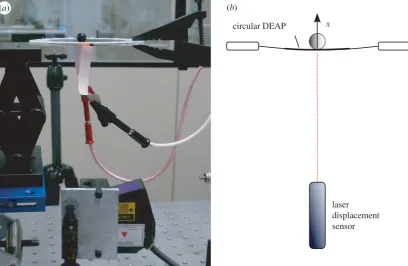 Figure 5. Experimental set-up. (supporting a spherical load, using a laser displacement sensor