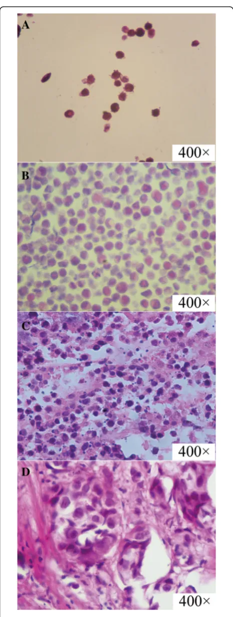 Fig. 1 The HE staining results of three kinds of samples comparedwith clinical specimen
