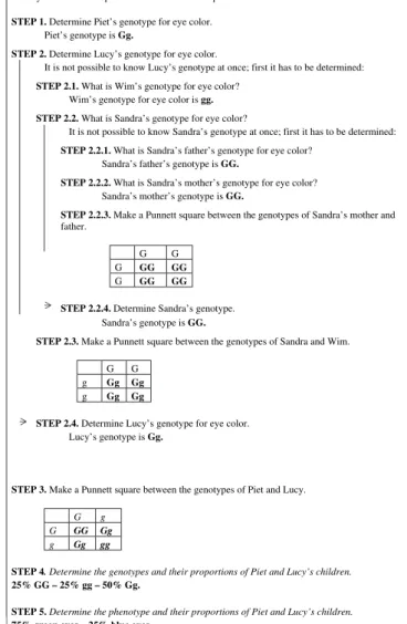 Fig. 1. A learning task emphasizing problem-solving.