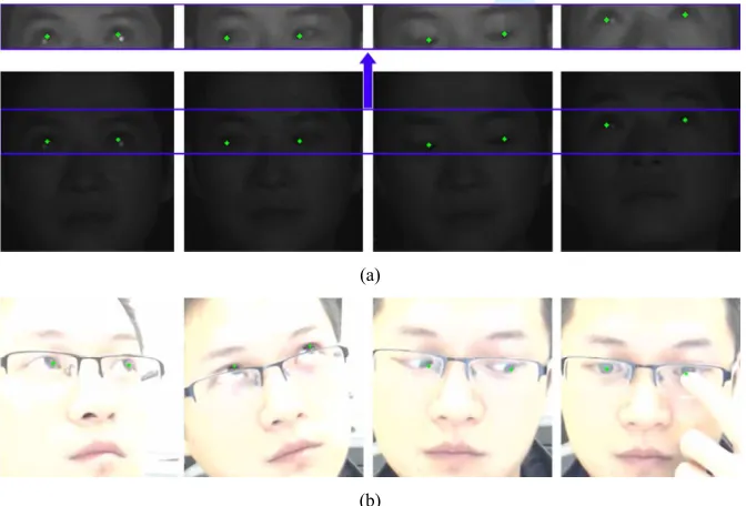 Figure 9For Review Only Eye centre localisation results demonstrating the robustness of the proposed algorithm against challenging illuminations, head poses and eye occlusions 