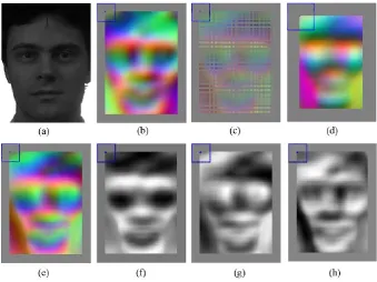 Fig. 3. Dense SIFT feature visualisation in the RGB colour space. The square on the top left corner denotes the size and centre of the first descriptor patch