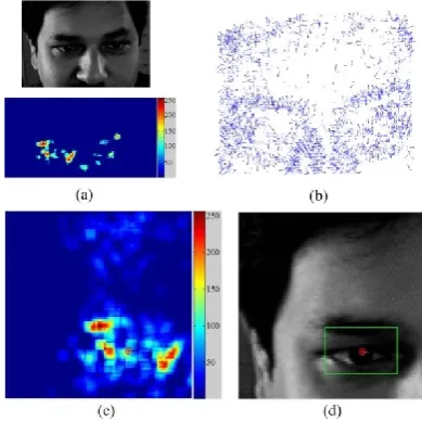 Fig. 10. An illustration of the first modality for eye centre estimation and eye detection