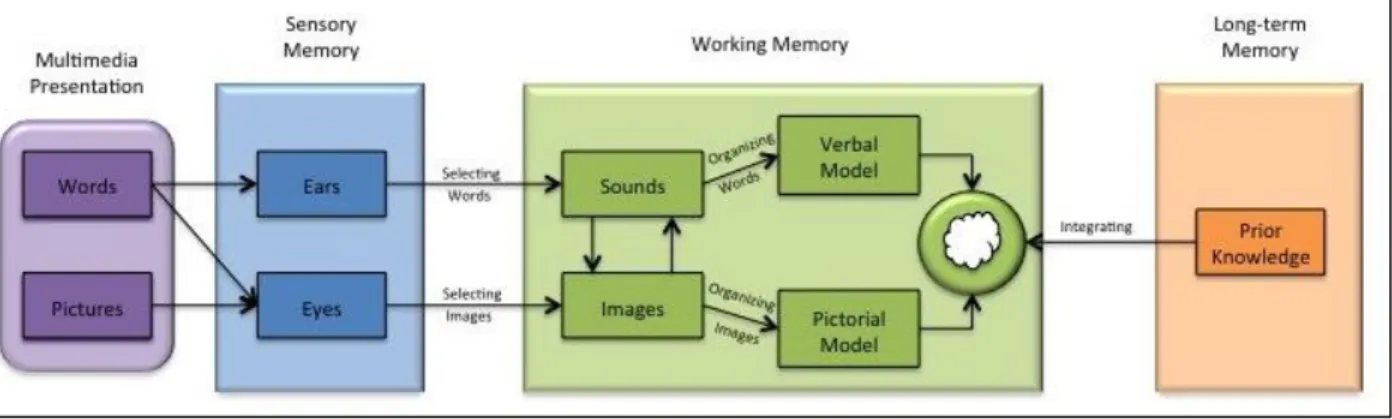 Figure 1. The Cognitive Theory of Multimedia Learning, adapted from Clark &amp; Mayer (2008)
