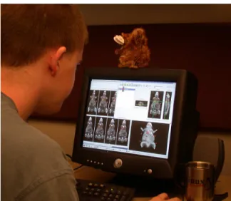 Figure 2: The limited display real estate of an ordinary mon- mon-itor is a serious impediment for a user interested in  multi-views visualization software to study a microCT data set.