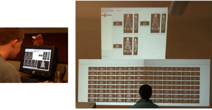Figure 6: A “multi-views” visualization application has an advantage when more display real estate is readily available.