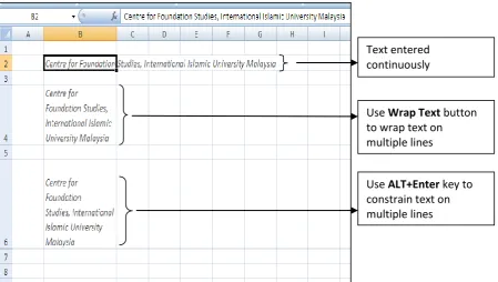 Figure 2-1: Text in a cell can cover several cells or be placed on multiple lines. ‎
