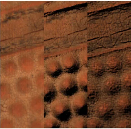 Figure 6. Skin surface roughness. Left: variance 813, Right: variance 507. 