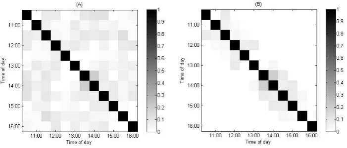 Figure 2: (A) Image of absolute value of ˆLMGARCH model on BHP 30-minute returns; Elements in BHP 30-minute returns; (B) Image of absolute value of C  from fitting a band-eight CCC-LMGARCH model on Cˆ  from fitting a band-two CCC-Cˆ  are correlation coeffi