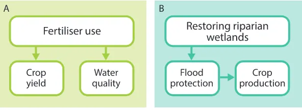 Figure 10. Adapted from Bennett, Peterson & Gordon (2009). In panel A the ecosystem ser-vices of crop yield and water quality have a shared driver, fertiliser use, but no direct impact on each other
