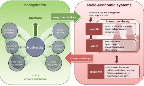 Figure 1. The conceptual framework drawn up by the MAES initiative (Maes et al., 2013a)