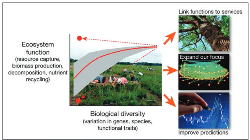 Figure 3. From Cardinale et al., 2012. This figure shows the basic shape of the relationship between biodiversity and ecosystem functions, based on over three decades of research