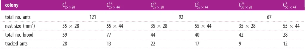 Table 1. The number of worker ants, brood and randomly sampled worker ants in colonies C44 mm1, C2 and C3 in the two nest sizes 35 � 28 mm2 and 55 �2; the * denotes the ﬁrst nest-size treatment
