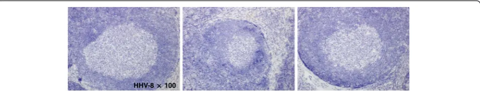 Fig. 6 Histopathological specimens were negative for HHV-8 immunohistochemical staining (original magnification 100 ×)