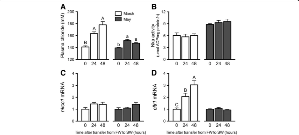 Fig. 3 Seasonal dynamics of branchial gene expression. BranchialAtlantic salmon maintained in FW from March 3 through July 10