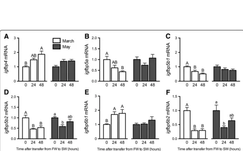 Fig. 5 Effects of SW exposure on plasma hormones and branchial gene expression. Plasma Gh (Within a given experiment, denoted by uppercase or lowercase letters, means not sharing the same letter are significantly different (one-way ANOVA,Tukeyigfr1aa), Igf