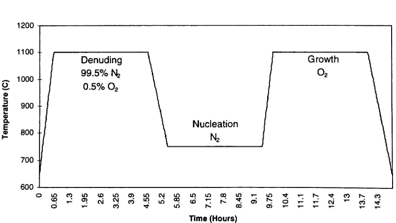 FIGURE 7: Simulated oxygen profiles for various denuding processes [6].