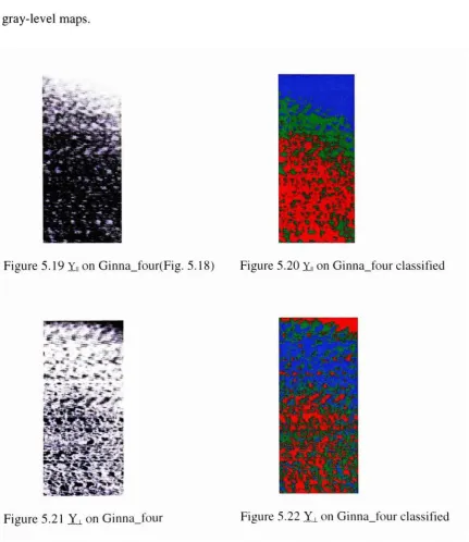 Figure 5.22 Y on Ginna_four classified