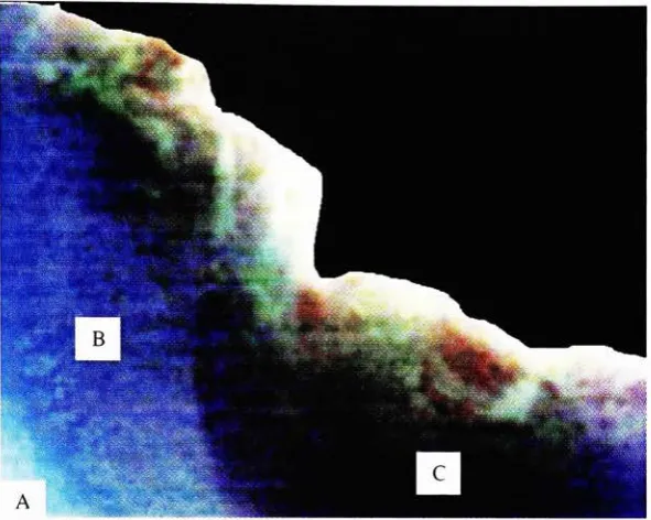 Figure 5.30 Smaller portion of Image C9 showing coastal bottom type variation