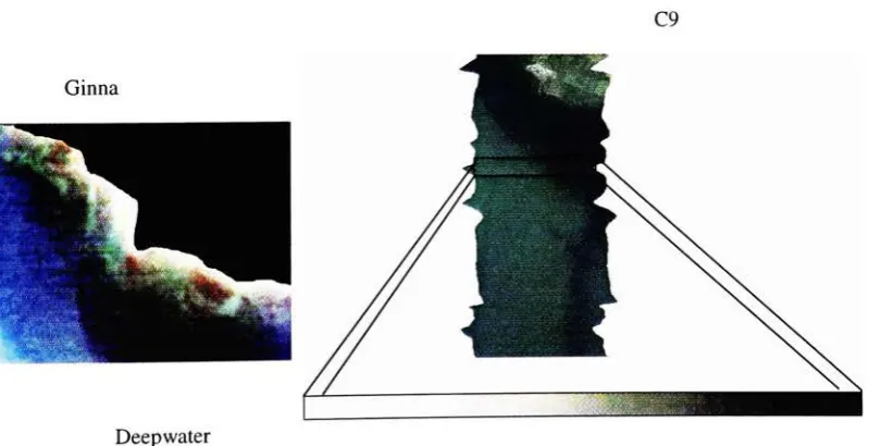 Figure 5.32 Image Ginna and the deepwater taken over the entire width of the image