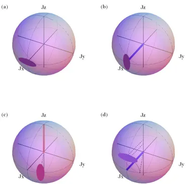 Figure 3.3: Representation of the interferometric sequence for a squeezed state on