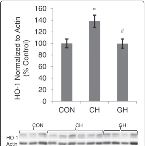 Fig. 2 Percent changes in catecholamine concentrations in venous blood extracted from the jugular vein after 60 min of treatment.from baseline to time 60 in CON, CH and GH groups